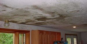 Water Damage and Mold On Living Room Ceiling