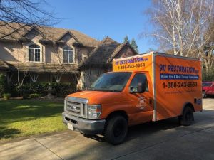 Mold Removal Orlando