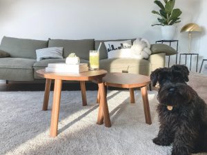 Steam cleaning carpets