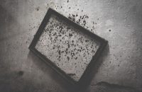 Is black mold actually deadly?