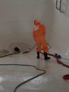 Mold Cleanup